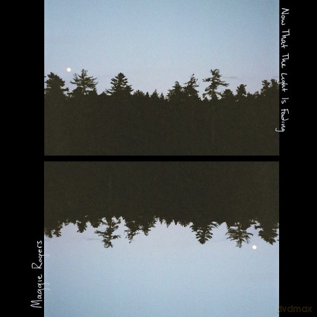 Maggie Rogers: Now That The Light Is Fading [Winyl]