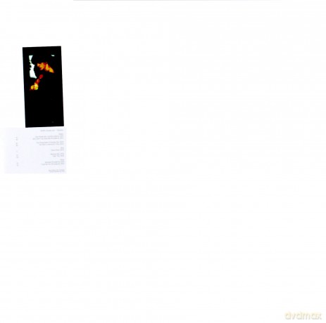 Nicolas Jaar: Nymphs [3xWinyl]