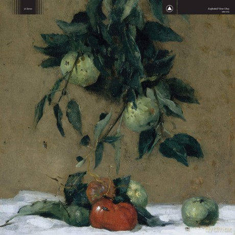 Exploded View: Obey [CD]