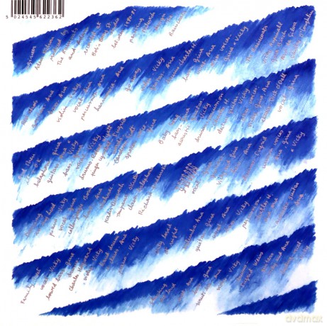Raincoats: Odyshape [CD]