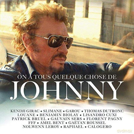 On A Tous Quelque Chose De Johnny [CD]
