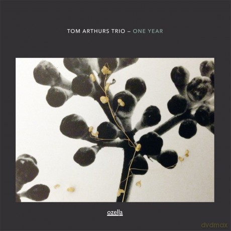 Tom Arthurs Trio: One Year [CD]