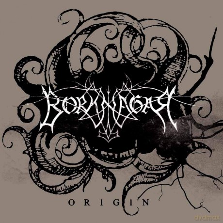 Borknagar: Origin [Winyl]