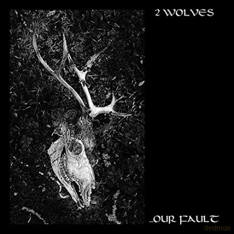 2 Wolves: Our Fault [CD]