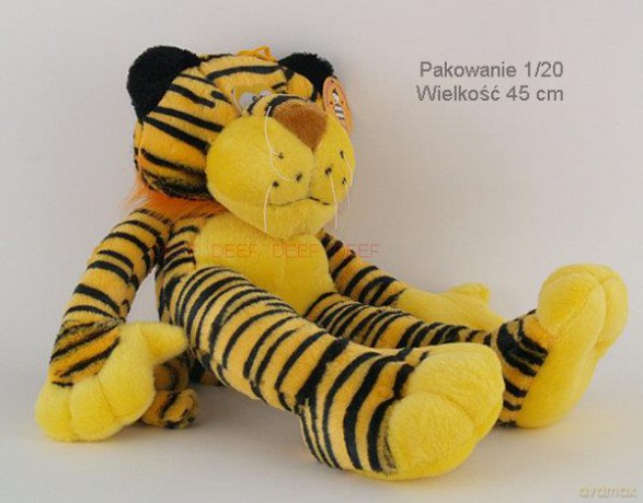 Tygrys długi wielki 02212