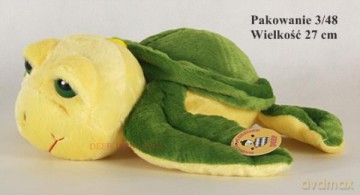 Żółw pływak 02808