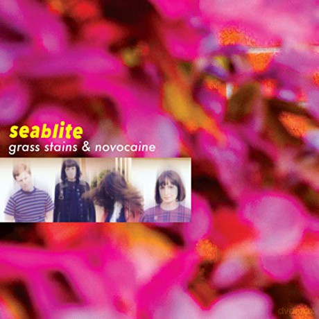 Seablite: Grass Stains And Novocaine [Winyl]