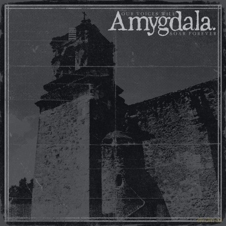 Amygdala: Our Voices Will Soar Forever [CD]
