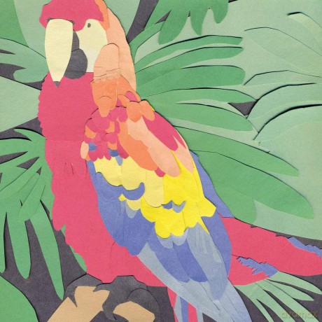Algernon Cadwallader: Parrot Flies [CD]