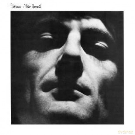 Peter Hammill: Patience [Winyl]