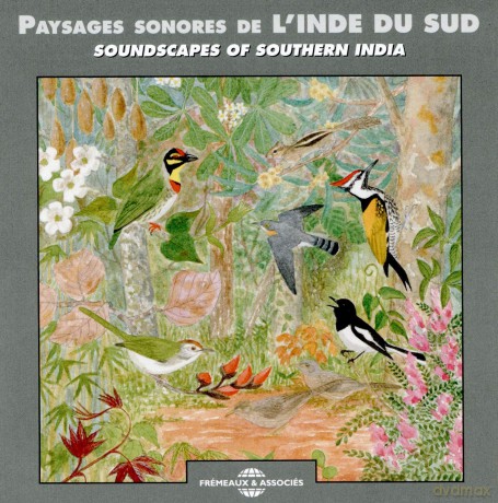 Bernard Fort: Paysages Sonores De LInde Du Sud [CD]