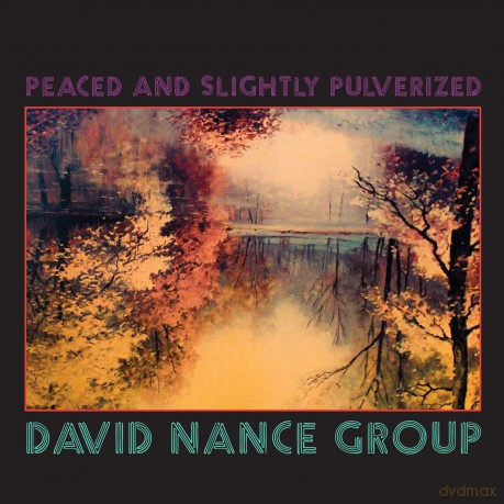 David Nance Group: Peaced And Slightly Pulverized [CD]