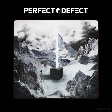 Perfect Defect: Perfect Defect [CD]