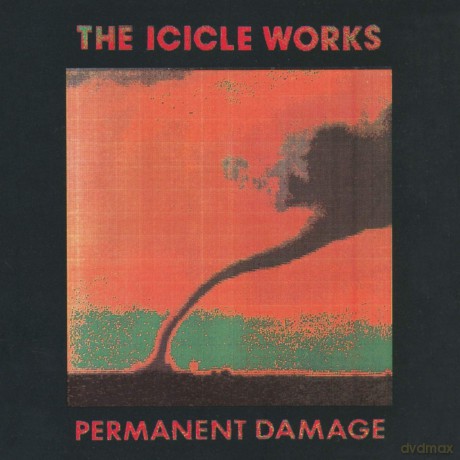 Icicle Works: Permanent Damage [CD]