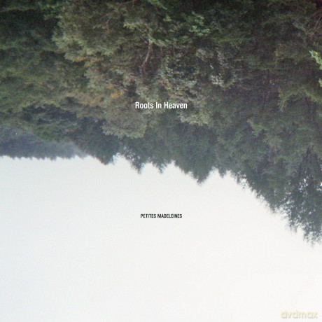 Roots In Heaven: Petites Madeleines [CD]