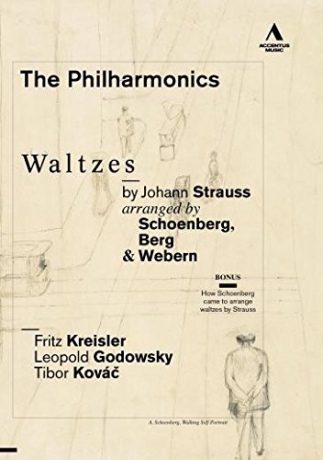 Philharmonics Waltzes By Johann Strauss Arranged By [DVD]