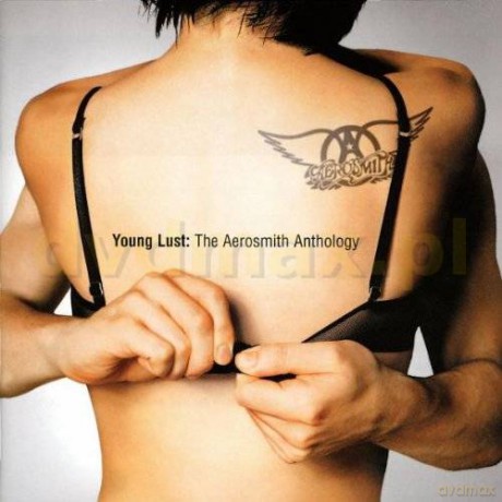 Aerosmith: Young Lust - The Anthology [2CD]