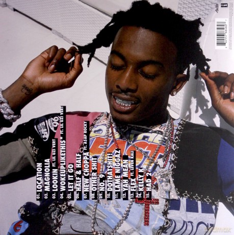 Playboi Carti: Playboi Carti [Winyl]