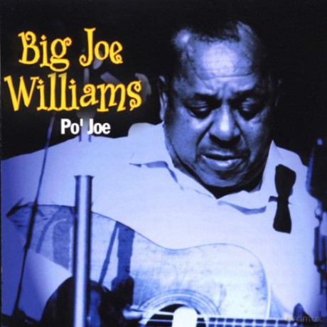 Big Joe Williams: Po Joe [CD]