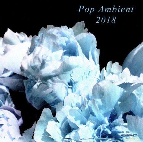 Pop Ambient 2018 [CD]