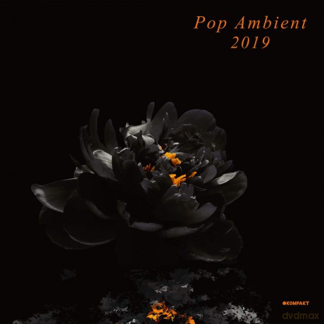 Pop Ambient 2019 [2xWinyl]