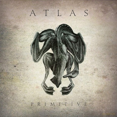 Atlas: Primitive [CD]