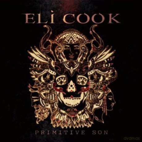 Eli Cook: Primitive Son [CD]