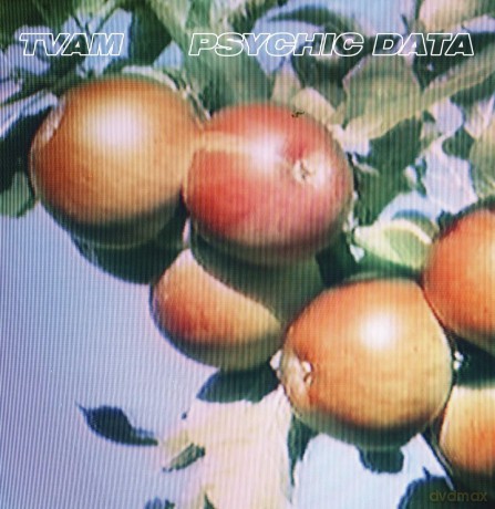 Tvam: Psychic Data [Winyl]