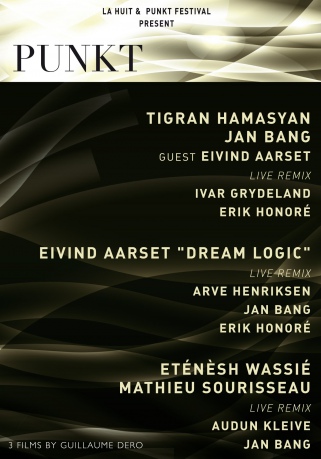 Punkt Festival [DVD]