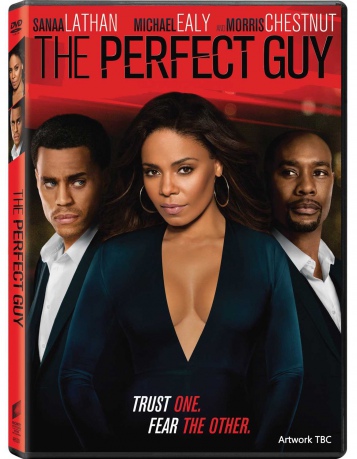 The Perfect Guy [DVD]