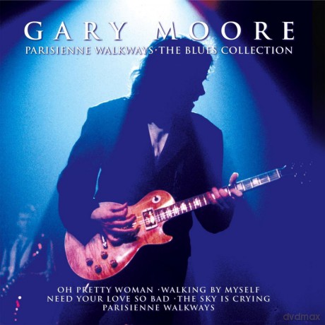Gary Moore: The Blues Collection [CD]