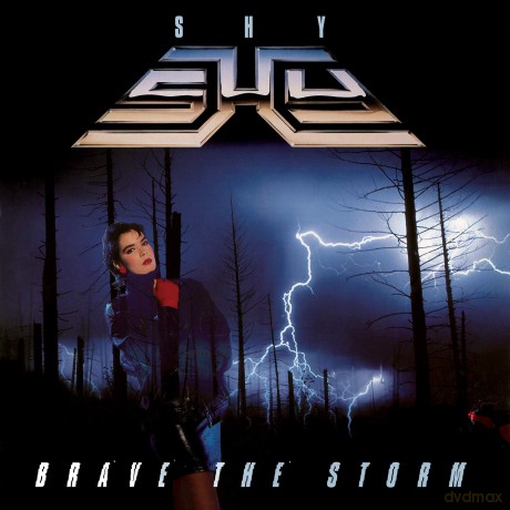 Shy: Brave The Storm [CD]