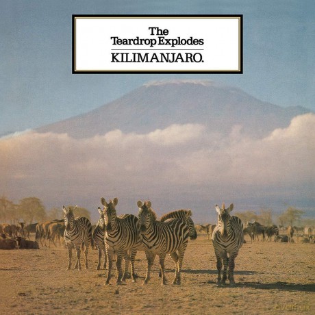 Teardrop Explodes: Kilimanjaro [Winyl]