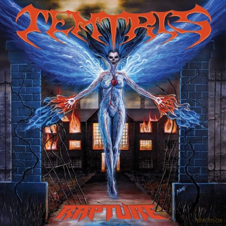 Temtris: Rapture [CD]