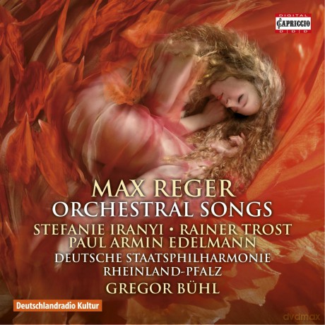 Reger: Orchestral Songs [CD]