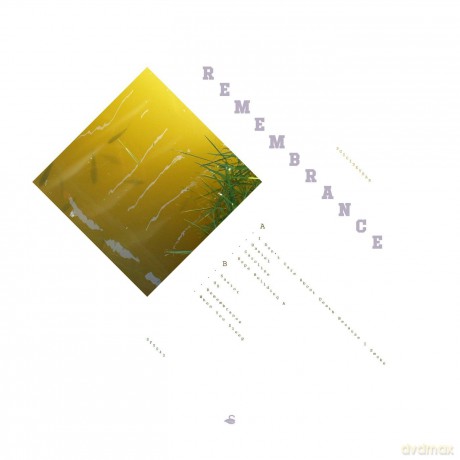 Suicideyear: Remembrance [Winyl]
