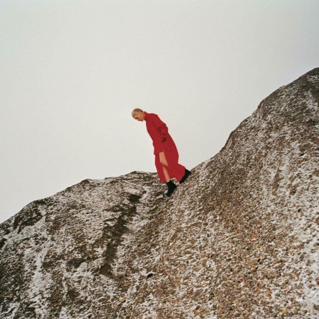 Cate Le Bon: Reward [Winyl]