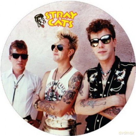 Stray Cats: Rockabilly Strut [Winyl]