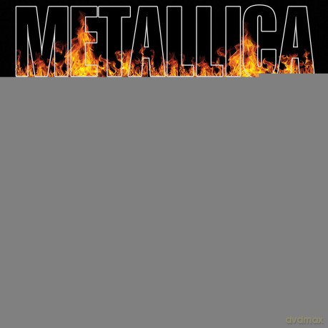 Metallica: Rocking At The Ring [2CD]
