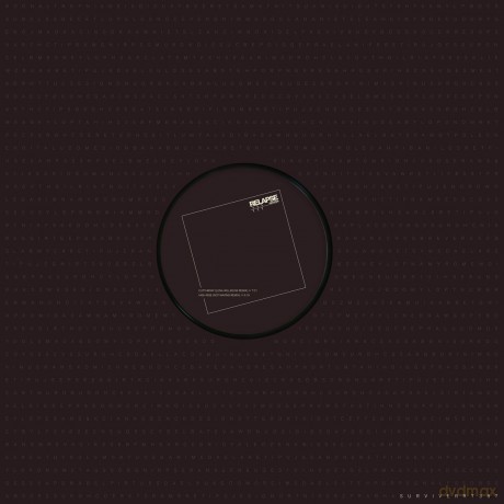 Survive: Rr7387 (Remix) [Winyl]