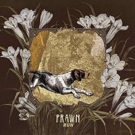 Prawn: Run [Winyl]