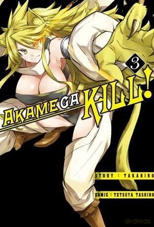 Zabójcza Akame (Akame ga Kill) (Tom 3) - Takahiro [KOMIKS]