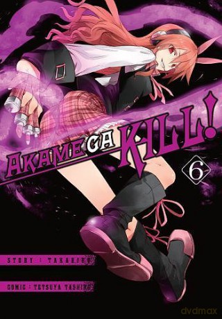 Zabójcza Akame (Akame ga Kill) (Tom 6) - Takahiro [KOMIKS]