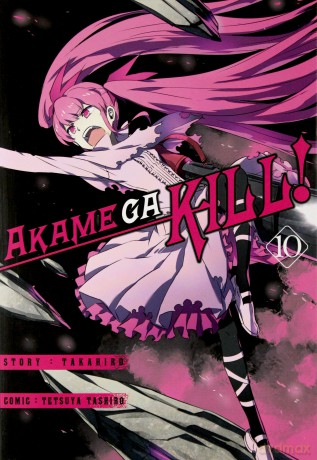 Zabójcza Akame (Akame ga Kill) (Tom 10) - Takahiro [KOMIKS]