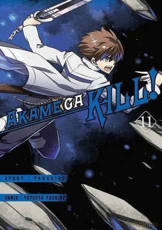 Zabójcza Akame (Akame ga Kill) (Tom 11) - Takahiro [KOMIKS]