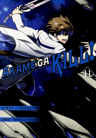 Zabójcza Akame (Akame ga Kill) (Tom 11) - Takahiro [KOMIKS]