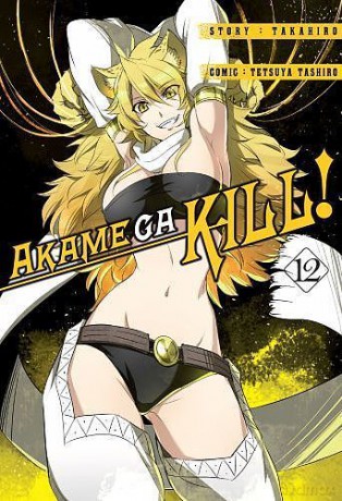Zabójcza Akame (Akame ga Kill) (Tom 12) - Takahiro [KOMIKS]