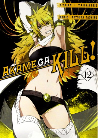 Zabójcza Akame (Akame ga Kill) (Tom 12) - Takahiro [KOMIKS]