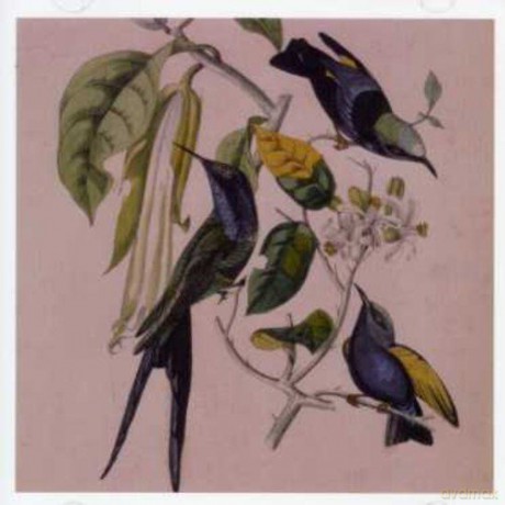 Susumu Yokota: Sakura [CD]