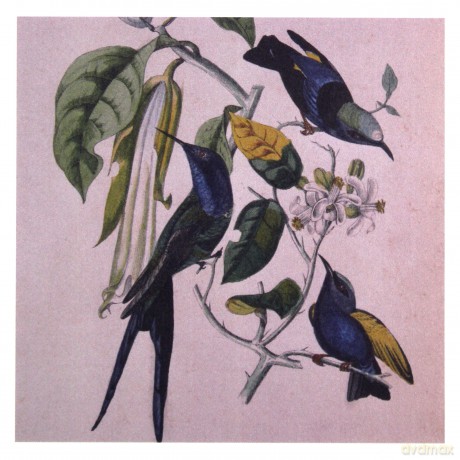 Susumu Yokota: Sakura [CD]